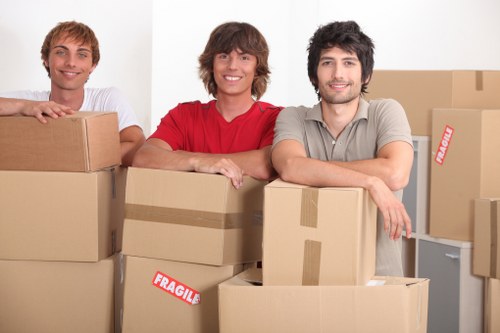 Packing and preparing items for long-term storage in Stanmore